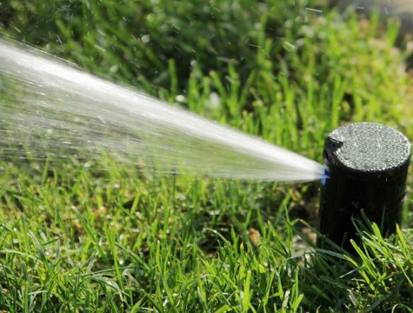 watering the grass with sprinkler system