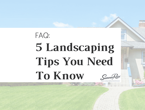 5 landscaping tips you need