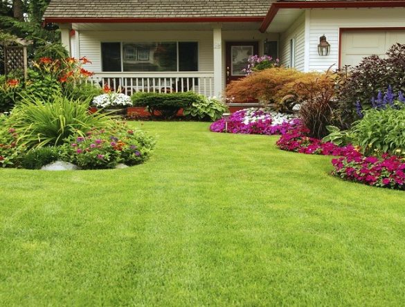 Beautiful lawn with flowerbeds on side