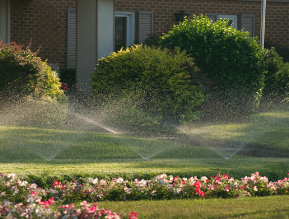 Lawn irrigation watering grass and flowers